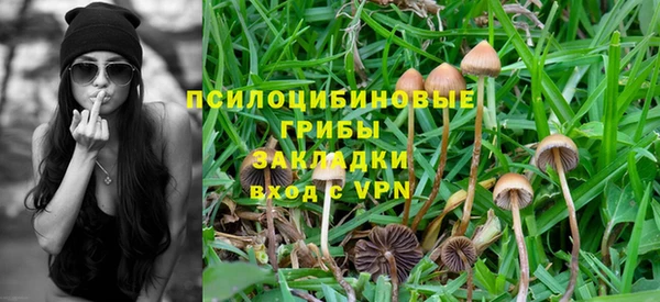 спиды Беломорск