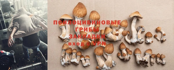 MDMA Белокуриха