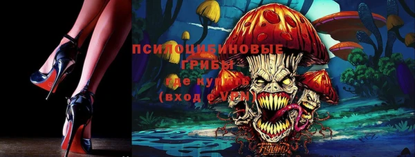 спиды Беломорск