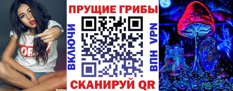 Псилоцибиновые грибы Psilocybine cubensis  Купить где  Бабушкин 